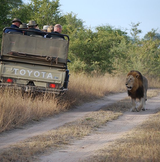 wild-adventure1.jpg