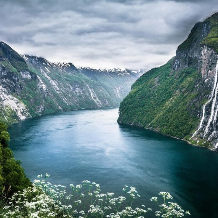 Image hover effect image